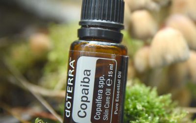 Copaiba jako alternatywa dla oleju konopnego.
